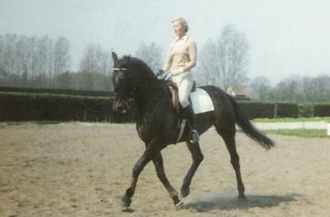 Reitsport Ursula Hegemann